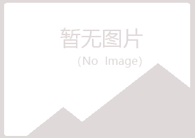 盐池县翠安造纸有限公司